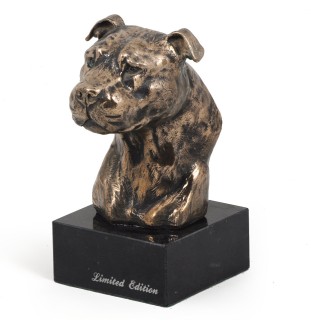 Amerykański Staffordshire terrier głowa na kamieniu Art-Dog